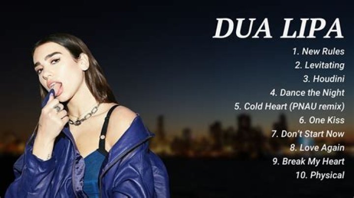 What Was Dua Lipa's First Song?